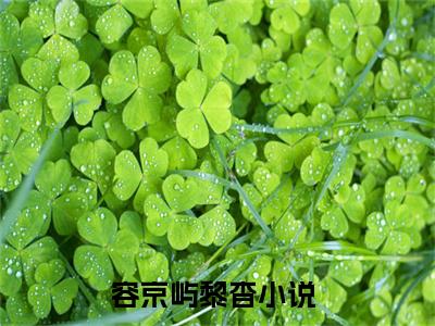 心动宠婚(容京屿黎杳）小说全文免费读无弹窗大结局_（心动宠婚小说全文免费阅读）最新章节列表笔趣阁（容京屿黎杳）