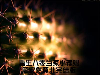 重生八零当家小辣媳小说（顾安然莫北）精彩章节-顾安然莫北全文免费在线阅读