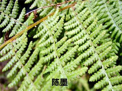惊悚：我只卖凶宅(陈墨)全文免费阅读无弹窗大结局_(陈墨免费阅读全文大结局)惊悚：我只卖凶宅最新章节列表_笔趣阁（惊悚：我只卖凶宅）