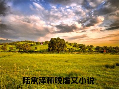 高赞小说陆承泽林晚（陆承泽林晚小说免费阅读）完结阅读_陆承泽林晚全文免费阅读最新章节大结局