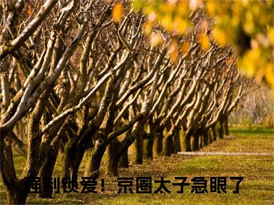 苏语鹿薄司寒（强制锁爱！京圈太子急眼了）全文免费阅读无弹窗大结局_苏语鹿薄司寒最新章节列表-笔趣阁强制锁爱！京圈太子急眼了