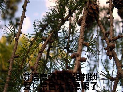 苏语鹿薄司寒（强制锁爱！京圈太子急眼了）全文免费阅读无弹窗大结局_苏语鹿薄司寒最新章节列表_笔趣阁（强制锁爱！京圈太子急眼了）