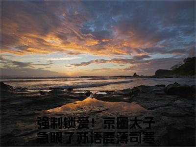 小说苏语鹿薄司寒（强制锁爱！京圈太子急眼了）大结局免费阅读-强制锁爱！京圈太子急眼了最新热门小说全文阅读