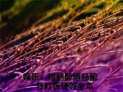 李强小说无弹窗（娱乐：捡到醉酒杨蜜，我软饭硬吃）全文免费阅读无弹窗大结局_(娱乐：捡到醉酒杨蜜，我软饭硬吃）娱乐：捡到醉酒杨蜜，我软饭硬吃最新章节列表_笔趣阁（李强）