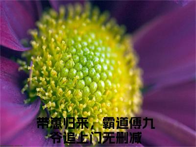 傅辞深向绵(带崽归来，霸道傅九爷追上门)全文免费阅读无弹窗大结局_傅辞深向绵全文阅读_笔趣阁（带崽归来，霸道傅九爷追上门）