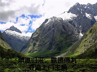 带崽归来，霸道傅九爷追上门的小说免费阅读（傅辞深向绵的小说免费阅读）全文完整版免费阅读-傅辞深向绵好书推荐
