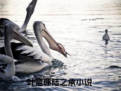 （叶蓝珊陆之承）抖音叶蓝珊陆之承小说阅读完结版-小说叶蓝珊陆之承全文免费阅读