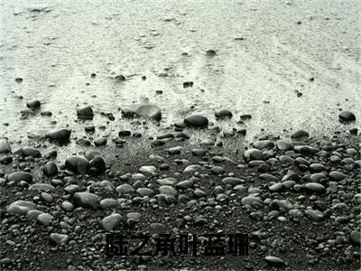 陆之承叶蓝珊（陆之承叶蓝珊）小说完整版阅读-小说陆之承叶蓝珊全文免费阅读