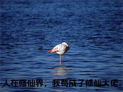 人在修仙界，我苟成了修仙大佬（韩雨）人在修仙界，我苟成了修仙大佬笔趣阁免费小说_人在修仙界，我苟成了修仙大佬笔趣阁全文阅读