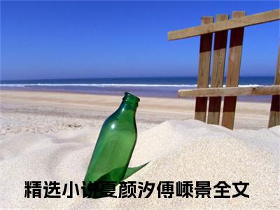 夏颜汐傅嵊景小说（夏颜汐傅嵊景)全文免费阅读无弹窗大结局_夏颜汐傅嵊景（夏颜汐傅嵊景）完整版最新阅读_笔趣阁（夏颜汐傅嵊景）