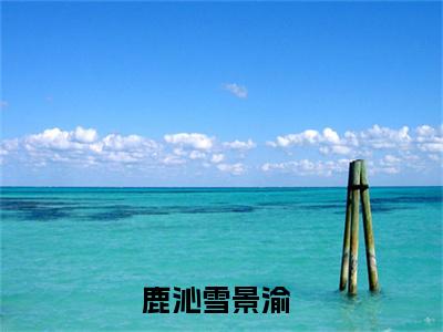 鹿沁雪景渝免费小说（鹿沁雪景渝）全本免费阅读-鹿沁雪景渝最新章节列表