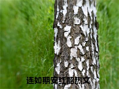 连如期安红韶满分热推小说 -连如期安红韶小说全本已完结
