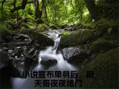宣布单身后，前夫哥夜夜堵门(林斯理周豫小说)全文免费阅读无弹窗大结局_(林斯理周豫小说免费阅读全文大结局)最新章节列表_笔趣阁（林斯理周豫小说）