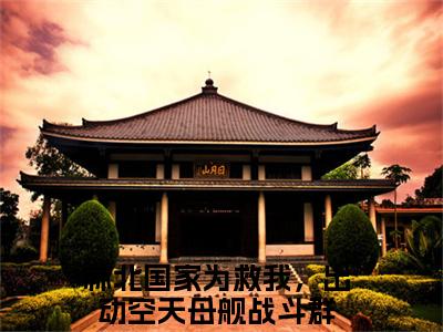 国家为救我，出动空天母舰战斗群全文免费阅读_（林北免费阅读无弹窗）国家为救我，出动空天母舰战斗群最新章节列表笔趣阁