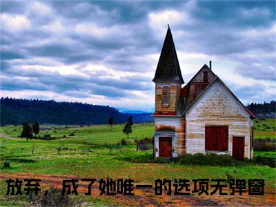 《顾风城魏若希》主角是放弃，成了她唯一的选项全文免费阅读已完结