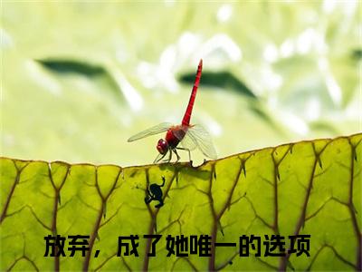 放弃，成了她唯一的选项大结局全文免费阅读最新章节_顾风城魏若希大结局