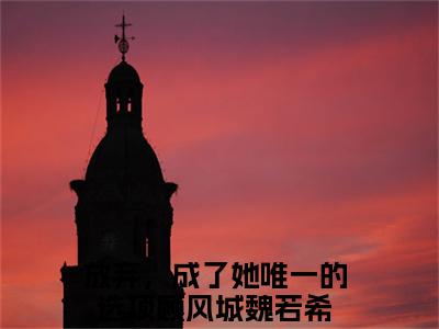 放弃，成了她唯一的选项（顾风城魏若希）在哪免费看-放弃，成了她唯一的选项小说（顾风城魏若希）全文完整版免费阅读