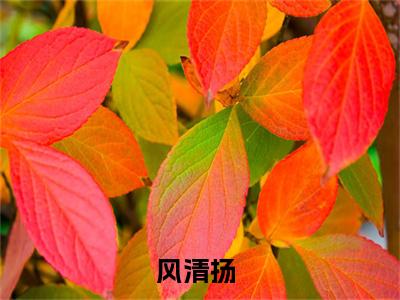 综武：开局教风清扬练剑最新章节（风清扬）全文免费阅读无弹窗大结局_综武：开局教风清扬练剑免费阅读（风清扬）