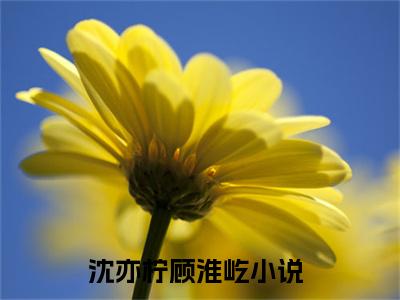 精选好书沈亦柠顾淮屹全文免费阅读大结局_沈亦柠顾淮屹（沈亦柠顾淮屹）完整版在线赏析