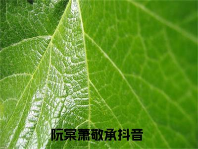 阮棠萧敬承小说全文免费阅读，阮棠萧敬承完整版