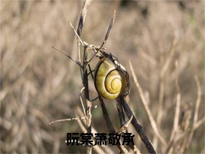 全章节完整《阮棠萧敬承》全文阅读《阮棠萧敬承》