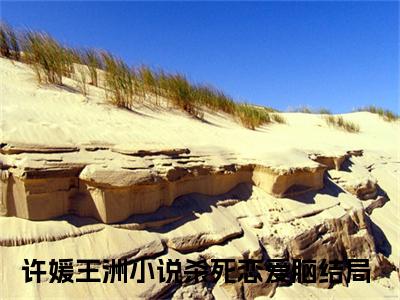 许媛王洲全文（杀死恋爱脑）全文免费阅读无弹窗大结局_杀死恋爱脑免费最新章节列表_笔趣阁（许媛王洲）