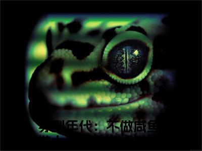 穿到年代：不做咸鱼做大佬沈音正版小说最新章节在线阅读-小说穿到年代：不做咸鱼做大佬沈音已完结全集大结局