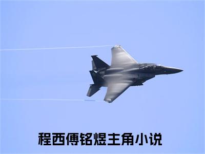 程西傅铭煜小说大结局-精彩美文程西傅铭煜免费阅读