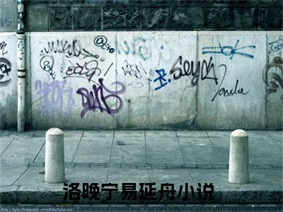 《洛晚宁易延舟》小说好看吗-洛晚宁易延舟最后结局如何《洛晚宁易延舟》在线赏析全文