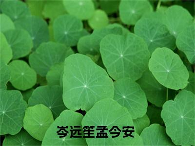 光影沉浮（岑远笙孟今安）精选小说大结局阅读-抖音新书热荐光影沉浮