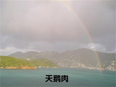 （天鹅肉）沈幼恩蒋序全文免费阅读无弹窗大结局_沈幼恩蒋序全文免费完结版阅读（天鹅肉）