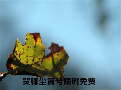 完结版贺卿尘简兮小说在线阅读大结局-贺卿尘简兮全文阅读已更新贺卿尘简兮