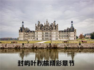 热度超高封屿叶秋榆小说-小说完整版全文资源阅读
