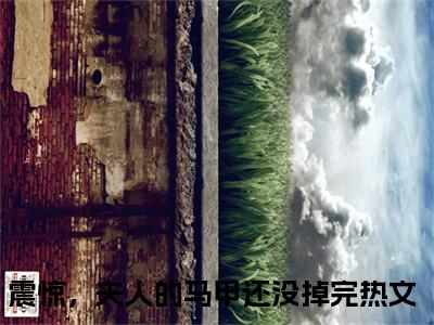 安暖陆之宴（震惊，夫人的马甲还没掉完）全网首发最新小说-主角震惊，夫人的马甲还没掉完全文在线免费阅读