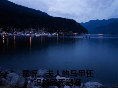 安暖陆之宴免费阅读（震惊，夫人的马甲还没掉完）全文免费阅读无弹窗大结局_安暖陆之宴免费阅读最新章节列表_笔趣阁