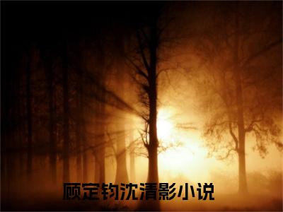 顾定钧沈清影全文(顾定钧沈清影)全文免费阅读无弹窗大结局_(顾定钧沈清影全文免费阅读全文大结局)顾定钧沈清影最新章节列表_笔趣阁（顾定钧沈清影全文）