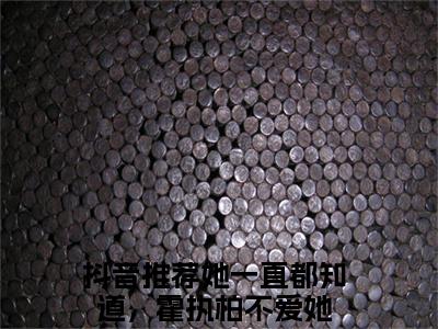 她一直都知道，霍执柏不爱她全文免费阅读无弹窗大结局（江心凌霍执柏）_她一直都知道，霍执柏不爱她最新章节列表_笔趣阁（江心凌霍执柏）