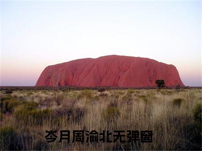 岑月周渝北最新章节（岑月周渝北）全文免费阅读无弹窗大结局_岑月周渝北小说全文免费阅读正版无弹窗_笔趣阁