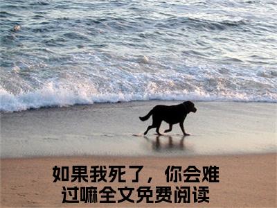 霍浩川迟简全文（如果我死了，你会难过嘛）完整版小说阅读无删减_（如果我死了，你会难过嘛）霍浩川迟简全本列表免费笔趣阁（如果我死了，你会难过嘛）