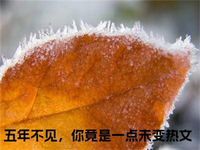 苏荔黎易至（五年不见，你竟是一点未变）女生必看小说全集_五年不见，你竟是一点未变（苏荔黎易至）全文免费阅读