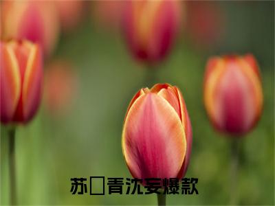 苏婠青沈妄（苏婠青沈妄）全文免费阅读无弹窗大结局_苏婠青沈妄最新章节列表_笔趣阁无删减