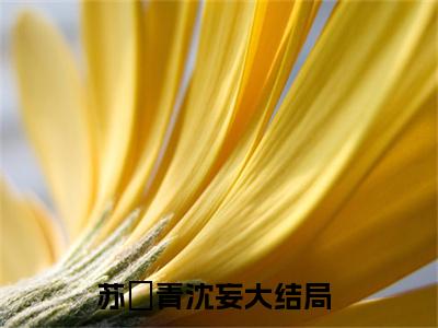 苏婠青沈妄小说全文免费阅读无弹窗大结局_（苏婠青沈妄免费阅读无弹窗）最新章节列表_笔趣阁