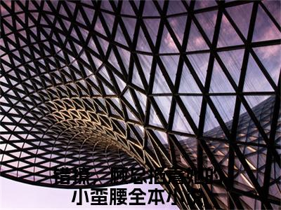 错撩，顾总掐着她的小蛮腰小说（顾寒升杨念念）全文免费阅读-错撩，顾总掐着她的小蛮腰精彩章节在线阅读