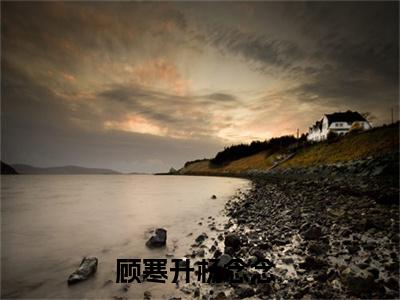 顾寒升杨念念（顾寒升杨念念）全文免费阅读无弹窗_错撩，顾总掐着她的小蛮腰小说在线阅读_笔趣阁