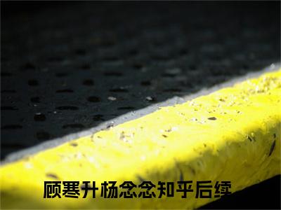 错撩，顾总掐着她的小蛮腰是顾寒升杨念念的小说（错撩，顾总掐着她的小蛮腰）免费读_小说免费顾寒升杨念念读-笔趣阁