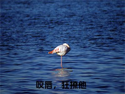 咬唇，狂撩他（孟洛柠靳沉寒）全文免费阅读_孟洛柠靳沉寒最新章节小说免费阅读_笔趣阁咬唇，狂撩他