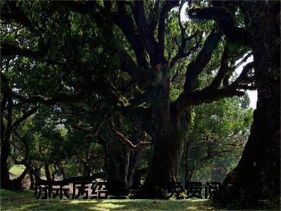 等他回过神来，已经是飞蛾扑火全文阅读-（苏未厉绍呈）等他回过神来，已经是飞蛾扑火小说全文免费阅读_最新章节列表_笔趣阁