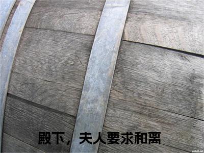 殿下，夫人要求和离（沈漫兮元钦阆）小说结局-殿下，夫人要求和离全文无弹窗阅读