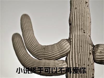 楚子琛白清施终于可以不再爱你小说全文在线阅读无弹窗大结局_（终于可以不再爱你全文在线阅读无弹窗）