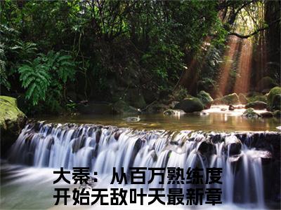 大秦：从百万熟练度开始无敌叶天（大秦：从百万熟练度开始无敌叶天 ）全文免费阅读_大秦：从百万熟练度开始无敌叶天言诺诺,井傅宸 小说最新章节列表笔趣阁